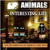 Animals Interesting Life CD